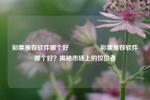 彩票推荐软件哪个好🎖️彩票推荐软件哪个好？揭秘市场上的佼佼者
