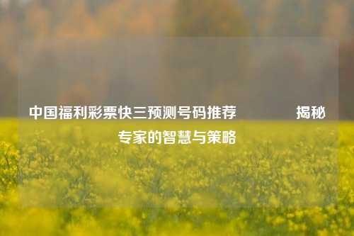 中国福利彩票快三预测号码推荐🥈揭秘专家的智慧与策略