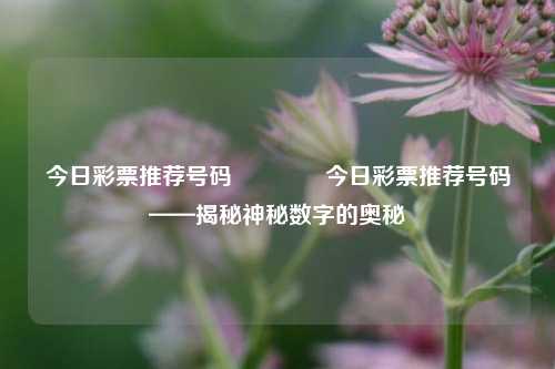 今日彩票推荐号码👉今日彩票推荐号码——揭秘神秘数字的奥秘