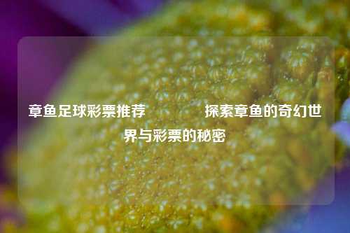 章鱼足球彩票推荐👉探索章鱼的奇幻世界与彩票的秘密