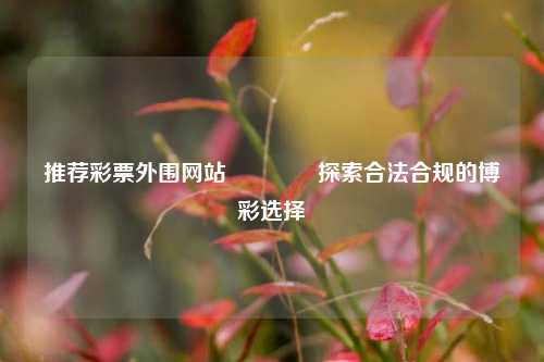 推荐彩票外围网站🥈探索合法合规的博彩选择
