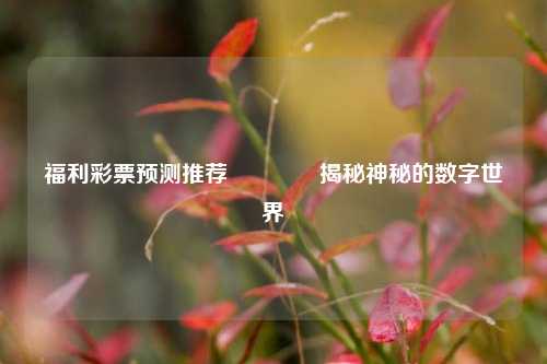 福利彩票预测推荐👈揭秘神秘的数字世界