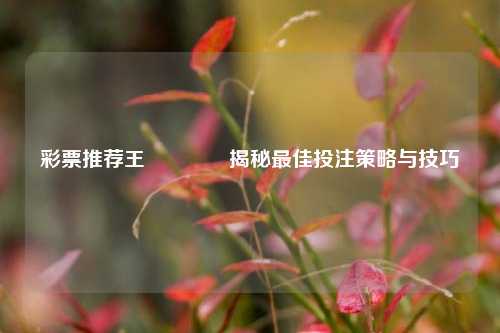 彩票推荐王🌈揭秘最佳投注策略与技巧