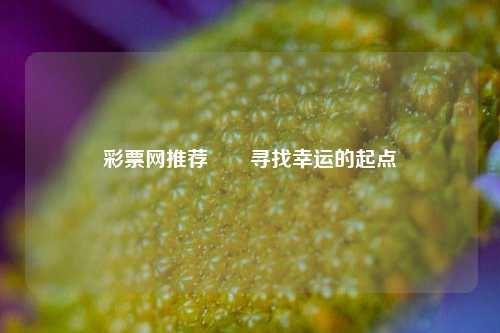 彩票网推荐✌️寻找幸运的起点