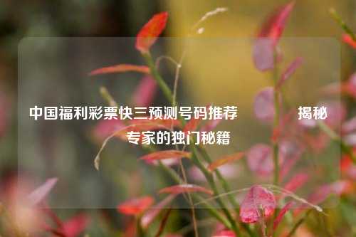 中国福利彩票快三预测号码推荐🥈揭秘专家的独门秘籍