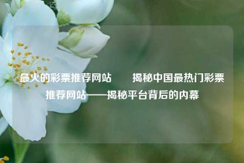 最火的彩票推荐网站✌️揭秘中国最热门彩票推荐网站——揭秘平台背后的内幕