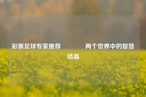 彩票足球专家推荐🏅两个世界中的智慧结晶