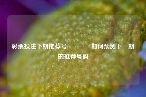彩票投注下期推荐号🥉如何预测下一期的推荐号码