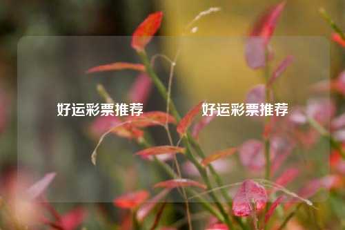好运彩票推荐👍好运彩票推荐