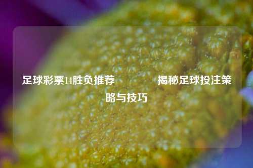 足球彩票14胜负推荐🥇揭秘足球投注策略与技巧