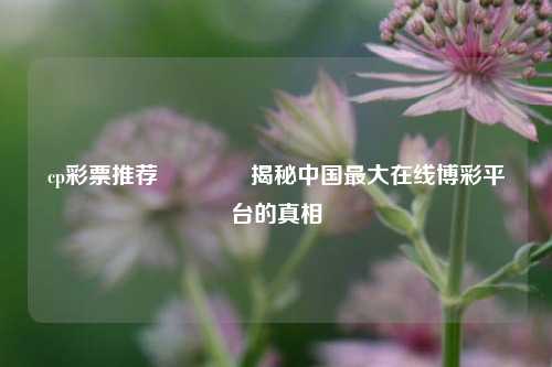 cp彩票推荐👉揭秘中国最大在线博彩平台的真相
