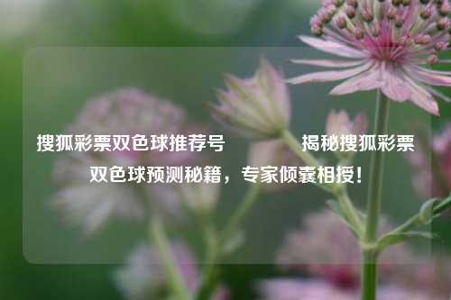 搜狐彩票双色球推荐号🥈揭秘搜狐彩票双色球预测秘籍，专家倾囊相授！