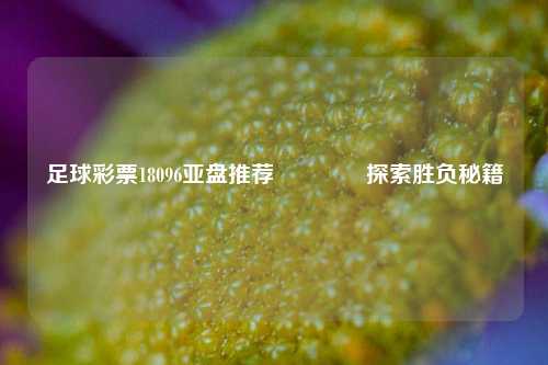 足球彩票18096亚盘推荐🥉探索胜负秘籍