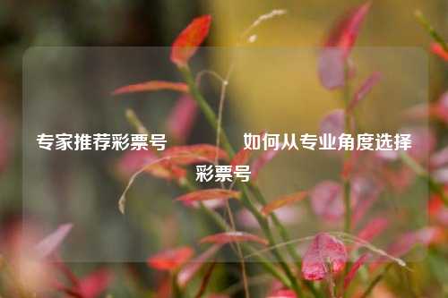 专家推荐彩票号🌈如何从专业角度选择彩票号