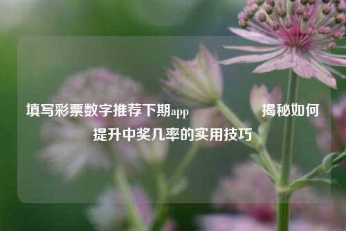 填写彩票数字推荐下期app🎖️揭秘如何提升中奖几率的实用技巧