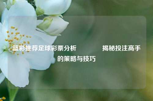 篮彩推荐足球彩票分析👈揭秘投注高手的策略与技巧