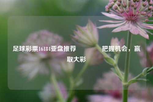 足球彩票16184亚盘推荐👍把握机会，赢取大彩