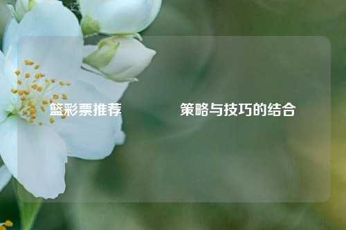 篮彩票推荐🥈策略与技巧的结合