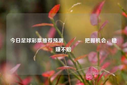 今日足球彩票推荐预测🥇把握机会，稳赚不赔