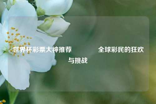 世界杯彩票大神推荐🏆全球彩民的狂欢与挑战