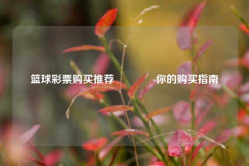 篮球彩票购买推荐🥈你的购买指南