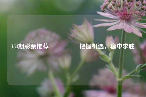 154期彩票推荐🎖️把握机遇，稳中求胜