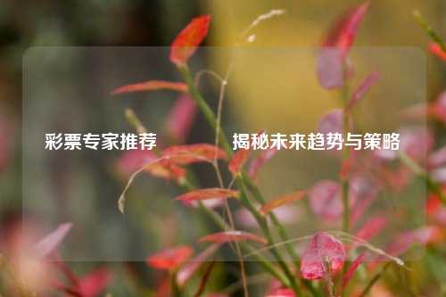 彩票专家推荐🥉揭秘未来趋势与策略