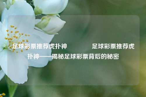 足球彩票推荐虎扑神🌈足球彩票推荐虎扑神——揭秘足球彩票背后的秘密