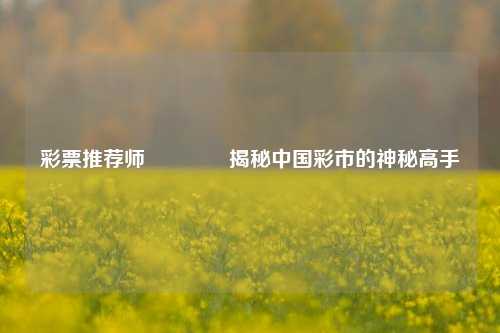 彩票推荐师🥈揭秘中国彩市的神秘高手