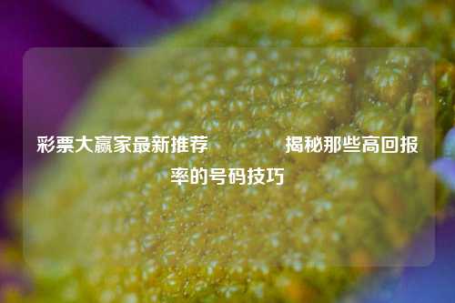 彩票大赢家最新推荐🏆揭秘那些高回报率的号码技巧