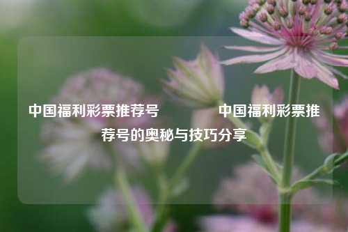 中国福利彩票推荐号🏆中国福利彩票推荐号的奥秘与技巧分享