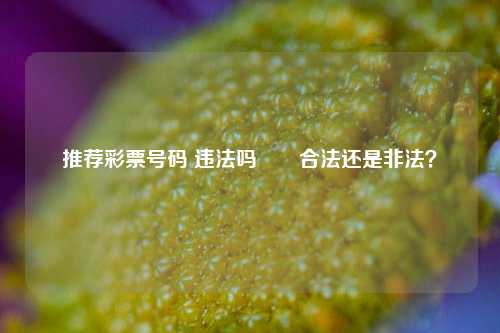 推荐彩票号码 违法吗✌️合法还是非法？