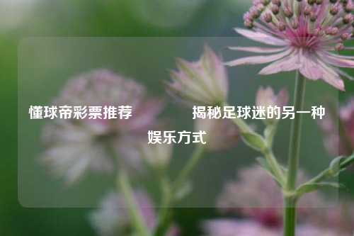 懂球帝彩票推荐🥇揭秘足球迷的另一种娱乐方式