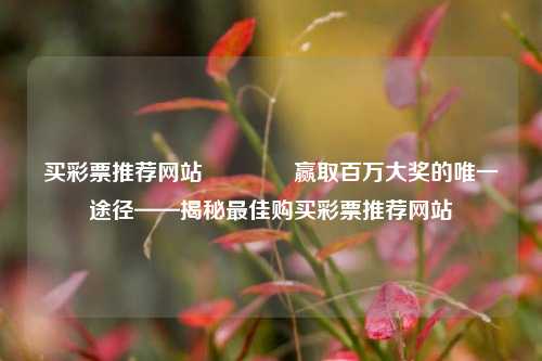 买彩票推荐网站🌈赢取百万大奖的唯一途径——揭秘最佳购买彩票推荐网站