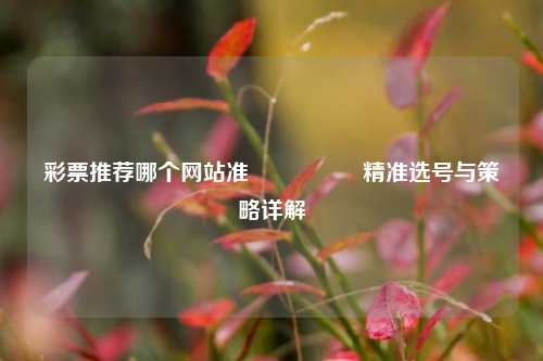 彩票推荐哪个网站准🎖️精准选号与策略详解