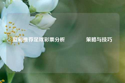 篮彩推荐足球彩票分析🏅策略与技巧