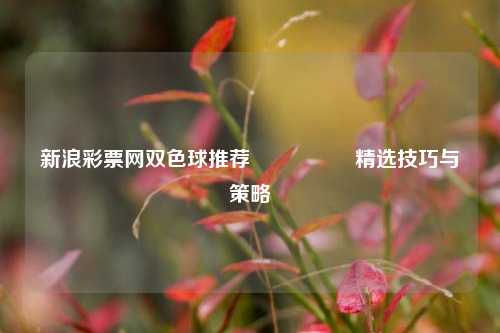 新浪彩票网双色球推荐🎖️精选技巧与策略