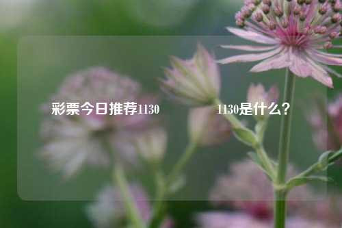 彩票今日推荐1130🥇1130是什么？