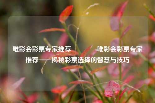 唯彩会彩票专家推荐👈唯彩会彩票专家推荐——揭秘彩票选择的智慧与技巧