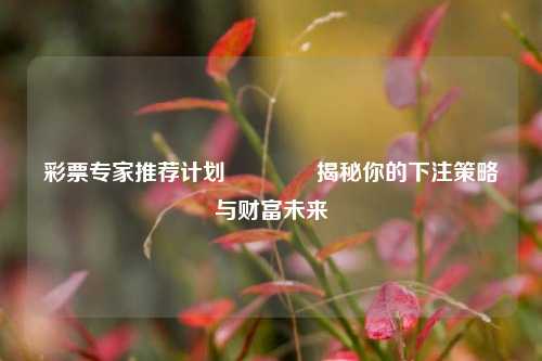 彩票专家推荐计划🥉揭秘你的下注策略与财富未来