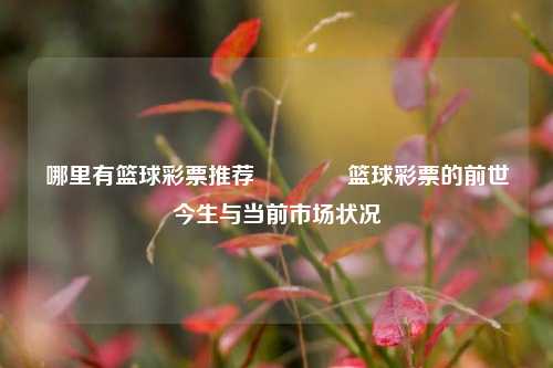 哪里有篮球彩票推荐🌈篮球彩票的前世今生与当前市场状况