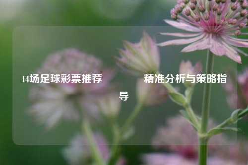 14场足球彩票推荐🏅精准分析与策略指导