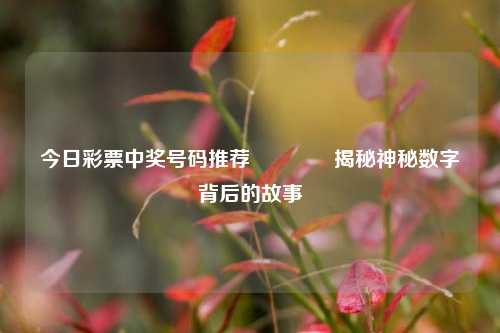 今日彩票中奖号码推荐🏆揭秘神秘数字背后的故事