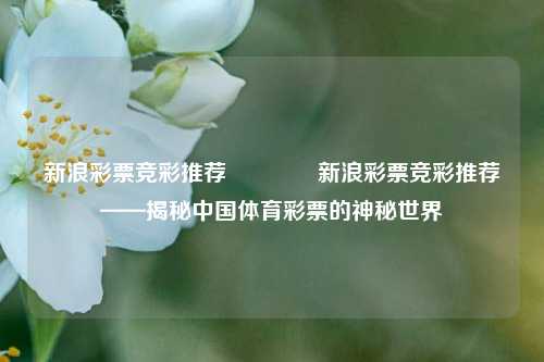 新浪彩票竞彩推荐🌈新浪彩票竞彩推荐——揭秘中国体育彩票的神秘世界