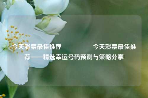 今天彩票最佳推荐🎖️今天彩票最佳推荐——精选幸运号码预测与策略分享