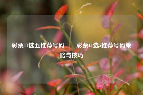 彩票11选五推荐号码✌️彩票11选5推荐号码策略与技巧