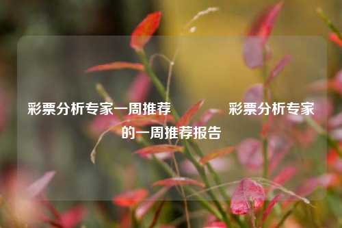 彩票分析专家一周推荐🌈彩票分析专家的一周推荐报告