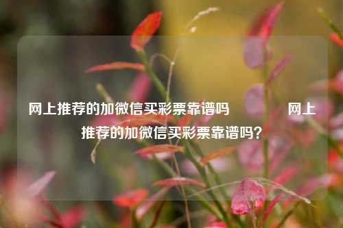 网上推荐的加微信买彩票靠谱吗🥈网上推荐的加微信买彩票靠谱吗？