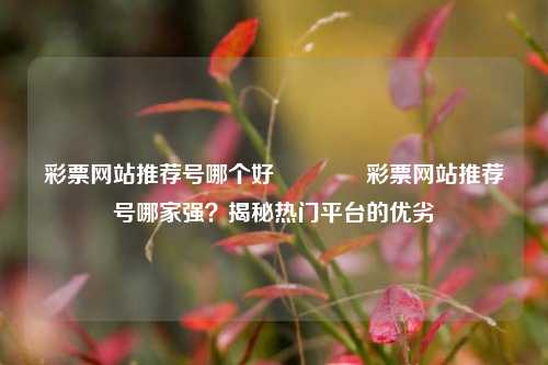 彩票网站推荐号哪个好🌈彩票网站推荐号哪家强？揭秘热门平台的优劣