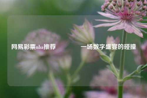 网易彩票nba推荐🥈一场数字盛宴的碰撞